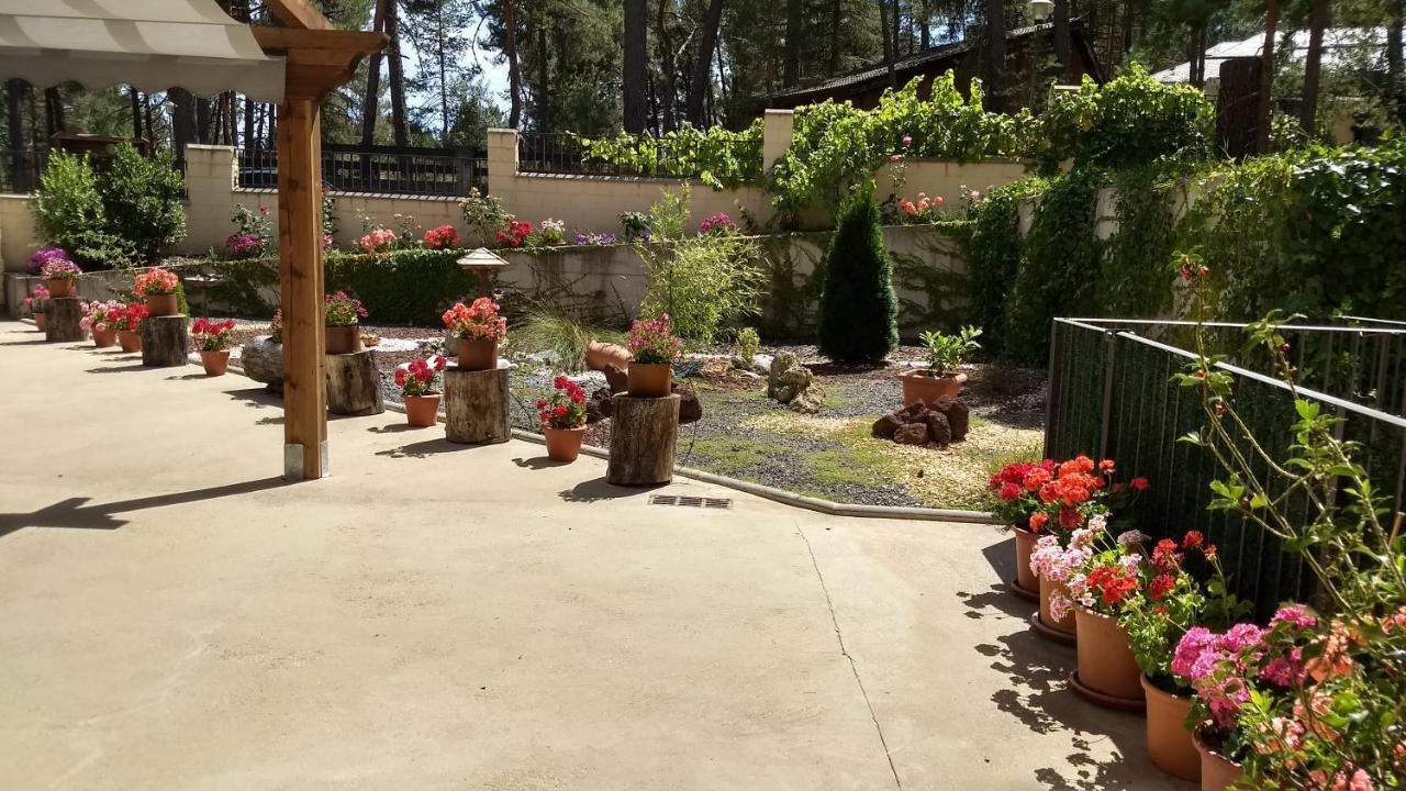 Hotel Rural El Nido De Pinares 나발레노 외부 사진